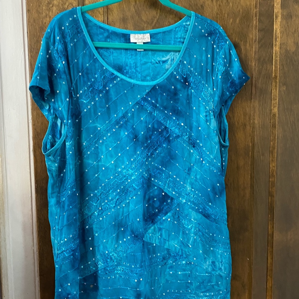 Dress barn blouse 3X